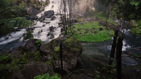 TaraweraFalls beatifull water fall drone forest video