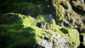 Closeup of water droplets bouncing after hitting mossy green covered rocks in sunlight - Powered by Shutterstock - Get 15% off with code: PIKWIZARD15