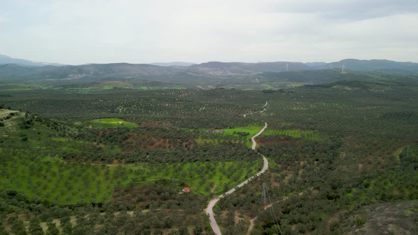 A vast, rural landscape of rolling hills and fields filled with vibrant plants. A beautiful reminder of natures untamed beauty. Lush Greenery of Rural Landscape. Olive trees and windmills. Ayvalik Bal
