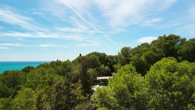 Ascending drone clip showing tree lined road in Malaga, with clear blue sea and blue sky in the background