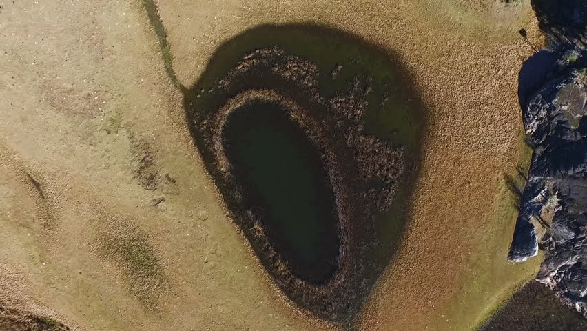 Overhead aerial view of the pond in the yellow grassland.