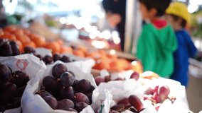 Step into the world of organic produce through this captivating stock footage. Follow a young mother, aged 35, as she guides her two energetic children, aged 5 and 7, through a bustling outdoor market