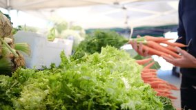 Step into the world of organic produce through this captivating stock footage. Follow a young mother, aged 35, as she guides her two energetic children, aged 5 and 7, through a bustling outdoor market