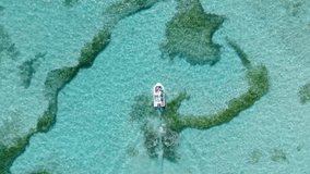 Aerial top shot of boat sailing on Playa Blanca, Punta cana, Dominican Republic. Playa Blanca Beach has beautiful seaweed vegetation.