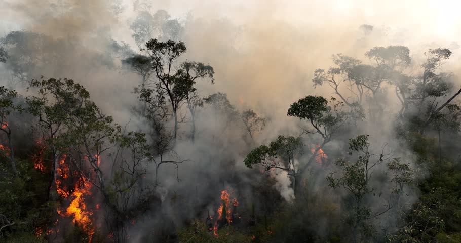Wild Bush Fire Australia Aerial Royalty-Free Stock Footage #1103836529