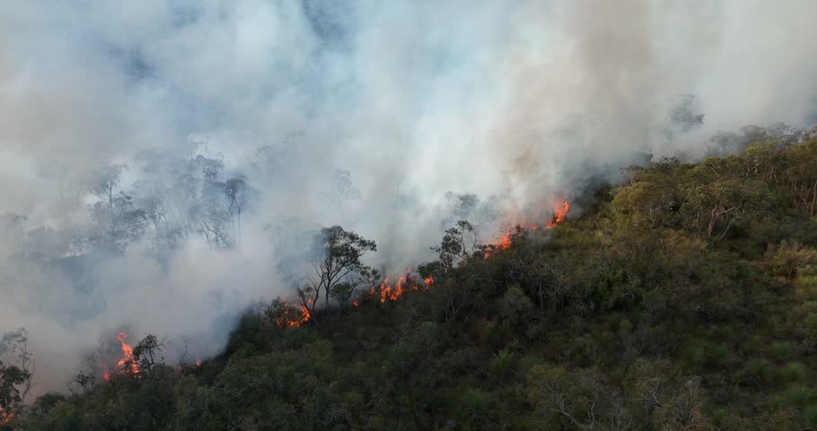 Wild Bush Fire Australia Aerial Royalty-Free Stock Footage #1103836533