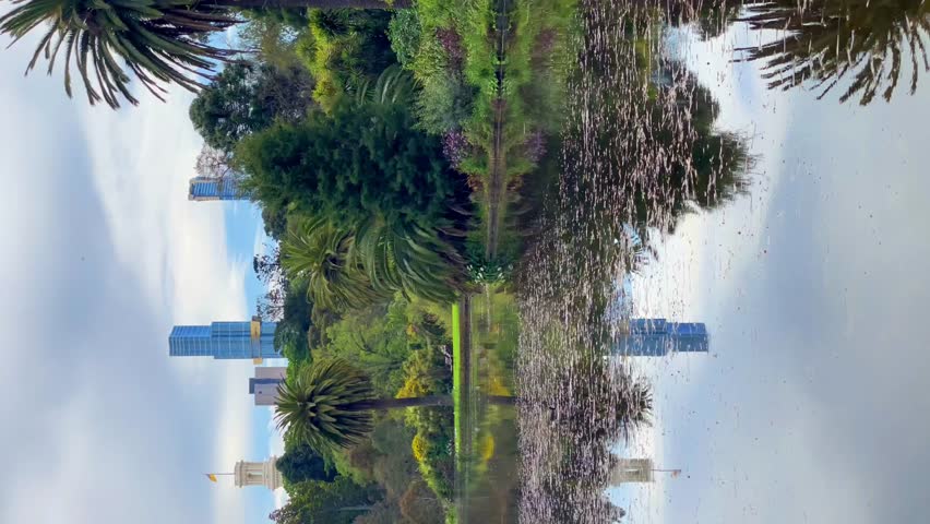 Melbourne City view in Royal Botanical gardens. Nature in the City. Beautiful reflection of the city skyscrapers in the water Royalty-Free Stock Footage #1103836627