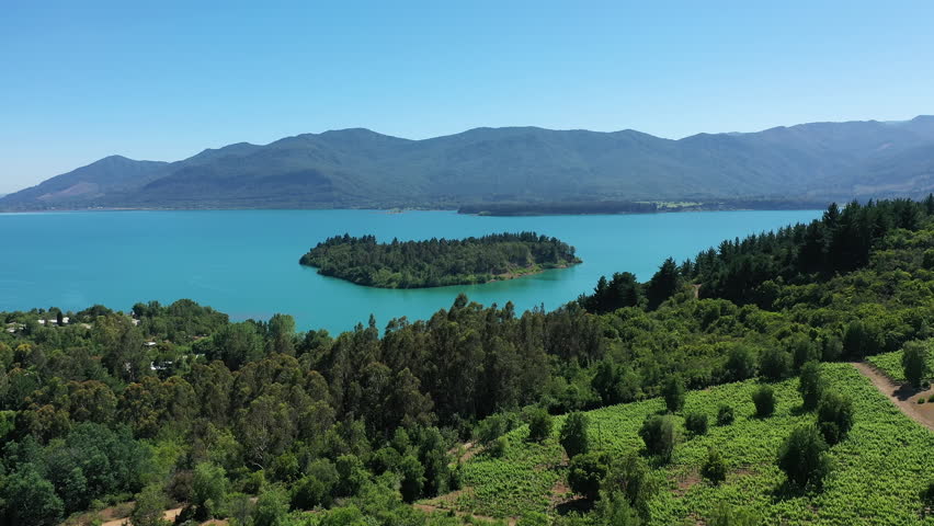 Beautiful Colbun lake with trees on the shore in Chile