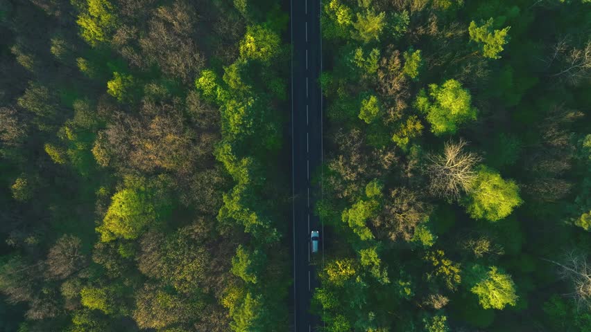 A breathtaking aerial photo of a lush forest with a road cutting through it. The dappled light filtering through the leaves creates a serene and peaceful atmosphere, while the road symbolizes human in Royalty-Free Stock Footage #1103850875