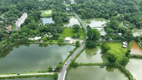 Aerial 4K video country village of Bangladesh,Green trees and road in Village
