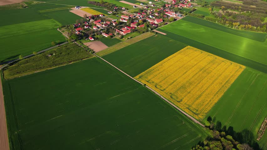 Colorful agriculture fields in spring. Village near blooming rapeseed fields and green meadows, aerial view. Natural background