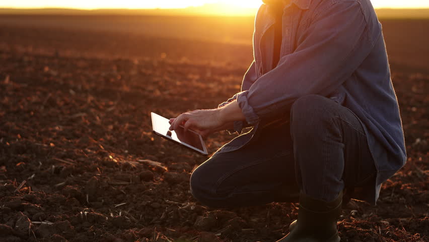 Male farmer touches soil and uses digital tablet for examine and testing cultivated land before sowing on plowed agricultural field on sunset. Smart farming technology and organic agriculture Royalty-Free Stock Footage #1103869927
