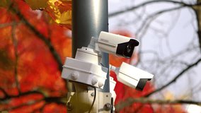 Security cameras in the city in autumn in 4k slow motion 60fps