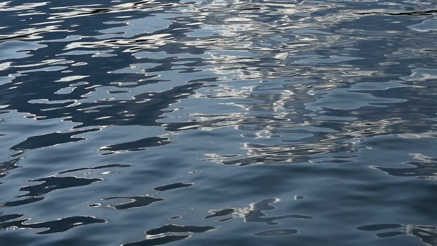 Small waves on water surface, forest lake on summer time
