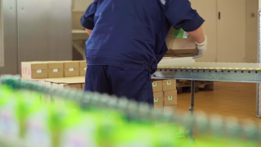 Industrial Dairy Factory. A Male Worker wearing gloves is Standing at the End of the Conveyor LIne. Picking up the Multiple Cardboard Boxes with the Product inside. Milk Production Process line. Royalty-Free Stock Footage #1103899327