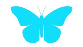 Animated blue butterfly flaps wings. Looped video. Flat vector illustration isolated on white background.