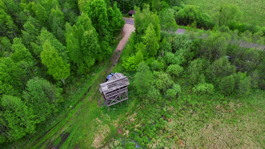 Person participating in ecotourism through a forest observation tower - Poland.