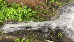 Vertical video water splashing fall between plants on soil ground