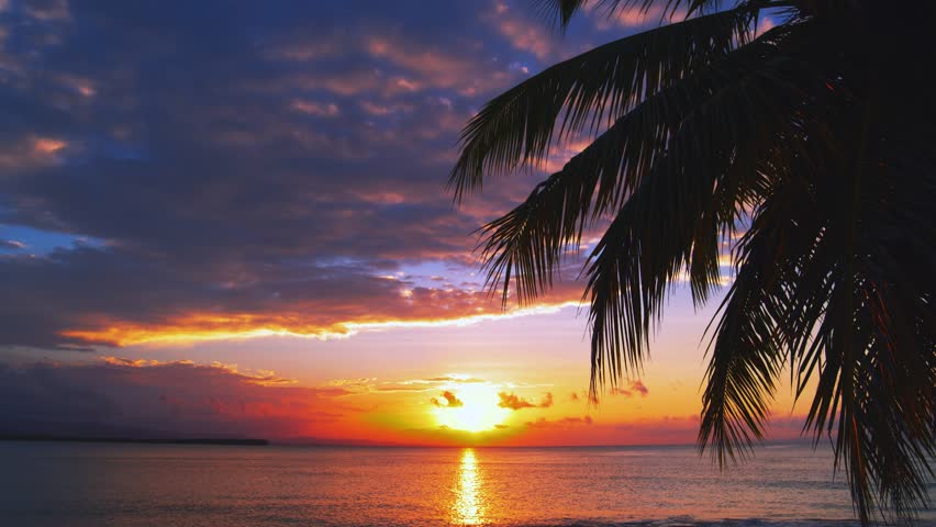 Bright tropical sunset on a paradise palm beach. Ocean coast in the rays of the evening sun. Silhouette of a palm tree and a calm sea against the background of dawn. Picturesque seascape. Twilight. 