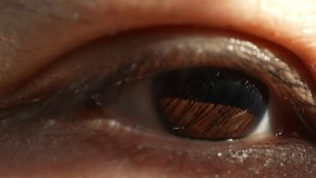 A macro video that explores the intricate details of Asian eyes, revealing their diverse shapes, textures, and hues. The beauty and uniqueness of Asian eye features through mesmerizing close-up shots.