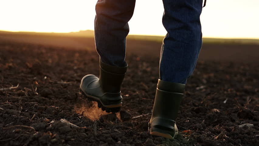 Agriculture. Cropped shot of back view businessman farmer in rubber boots walks along plowed field with digital tablet. Agronomist checking and analyses fertile soil on sunrise. Agribusiness Royalty-Free Stock Footage #1103923893