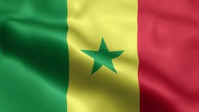 Senegal Flag video waving in wind. Senegal Flag Wave Loop waving in wind. Realistic Senegal Flag background. Senegal Flag Looping Closeup 1080p Full HD 1920X1080 footage.