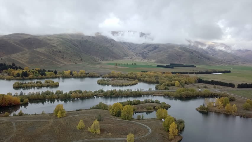 aerial view of the autumn trees with the sea and an islet at mount cook with a road in between, new zealand 