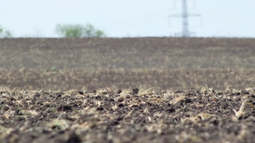 Plowed land in extremely hot weather, where heat creates hazy atmosphere and distorts distant view. Сoncept video highlights impact of global warming and climate change on agriculture Royalty-Free Stock Footage #1103944813