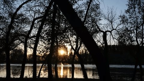 A wide, full-flowing river with a fast current. Silhouettes of trees on the river bank against the sunset. Spring evening. High water. Arkivvideo