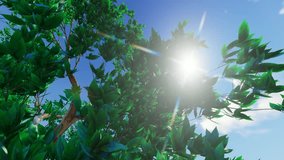 Green Forest Trees and Palms Against Blue Sky and Shining Sun. Travel Vacation Nature Concept. Up View On Tropical Jungle Background. 4K Slow Motion. 3D Animation. Natural ecology high quality. 