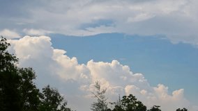 timelapse of clouds with blue sky and trees as foreground, thick cumulonimbus clouds in the afternoon