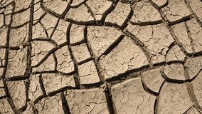 Land's surface examined closely. Intriguing camera clip reveals deep cracks, parched earth. Patterns etched, unveiling drought's reality. Captivating footage showcases resilience amidst adversity.