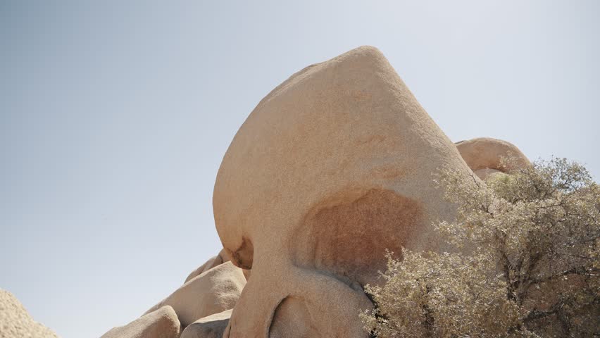 Skull Rock in Joshua Tree National Park. This distinctive rock formation, resembling a skull emerging from the desert floor, adds a touch of intrigue and fascination to the unique landscape.