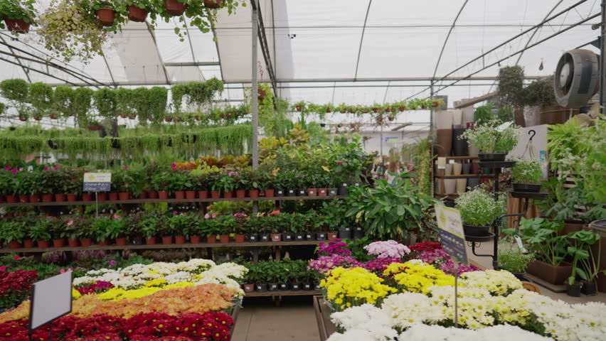 Local Gardening Business Flourishing with Diverse Horticulture and Flower Selections