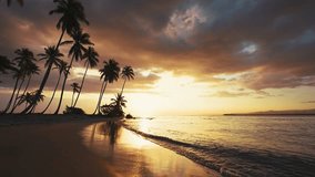 Yellow tropical sunset on the beach. Waves, sky and yellow sun. Sunset background of palm trees. Evening in Punta Cana. Holidays in a sunny resort. Landscape of the nature of the Dominican Republic.