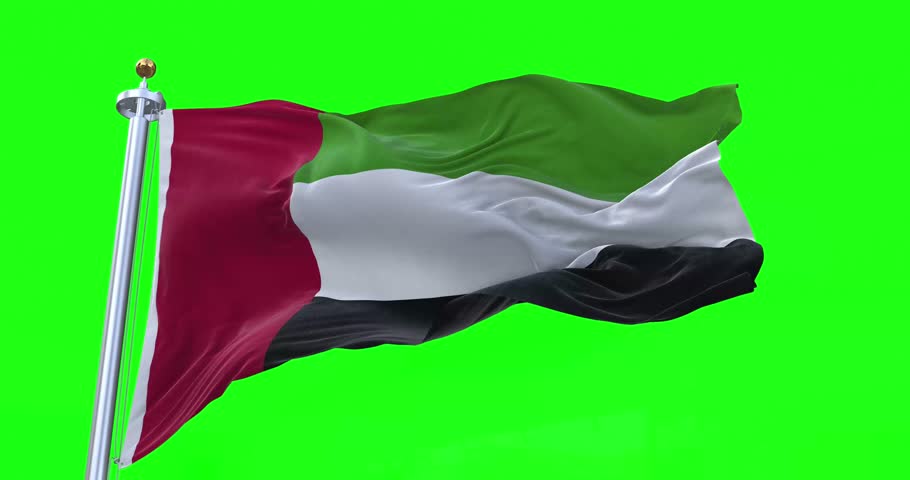 United Arab Emirates flag realistic waving in the wind 4K video, for Independence Day or Anthem etc, green screen background chroma key (Perfect Loop) Royalty-Free Stock Footage #1103956737