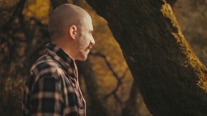 Man touches mossy tree in golden forest in Portugal. He admires greenery and light. He feels awe and wonder. Relaxing and peaceful clip.