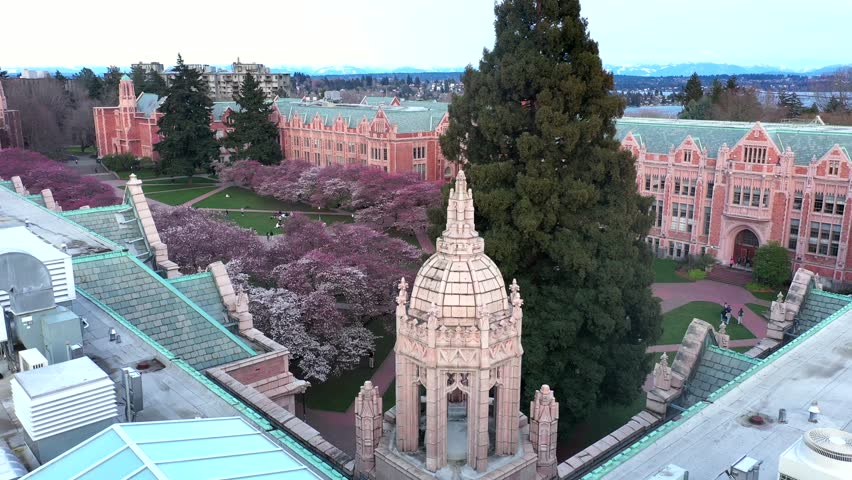 University of Washington Cherry Blossoms Spring in Seattle Aerial 4K
