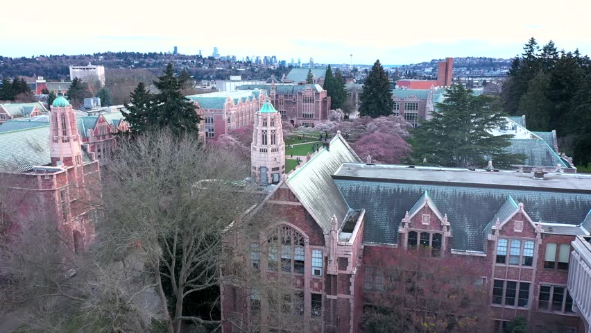 University of Washington Cherry Blossoms Spring in Seattle Aerial 4K