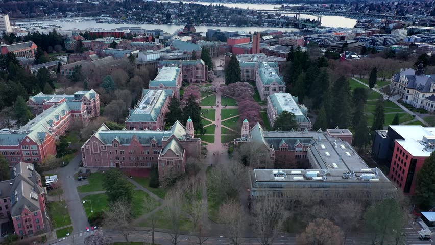 University of Washington Cherry Blossoms Spring in Seattle Aerial 4K