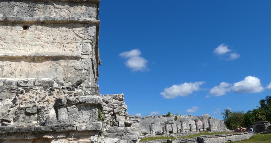 Black spiny-tailed iguana (Ctenosaura similis) sitting on the Temple of the Frescoes at Tulum archeological site, Quintana Roo, Mexico. In the background House of the Columns.