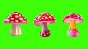 illustrated Mushroom Journey gallery animated 