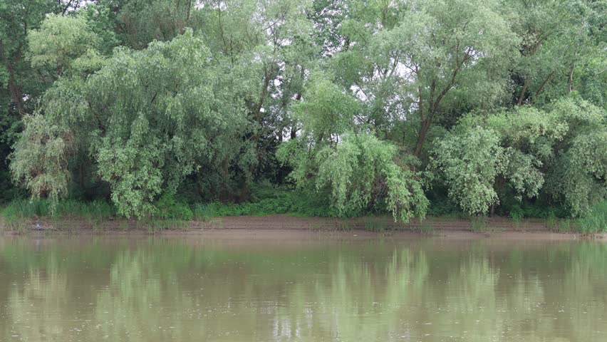 Summer landscape of Mures Valley National Park, Arad County, Romania, Europe