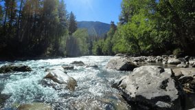 slo-mo mountain forest river with clear water at sunny summertime - loop video