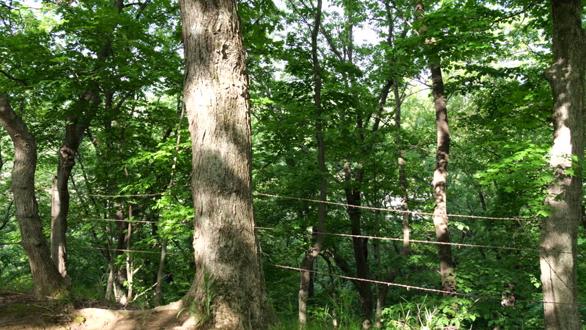 Hiking Trails at Weston Bend Missouri State Park in Platte County