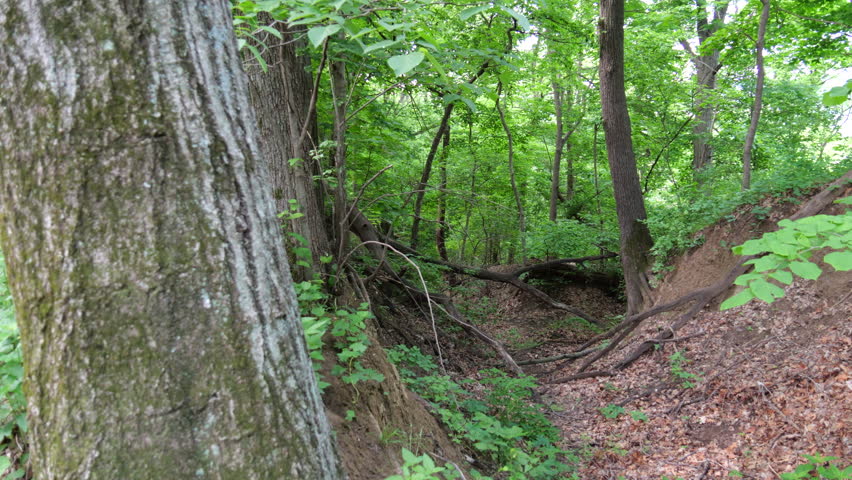 Hiking Trails at Weston Bend Missouri State Park in Platte County