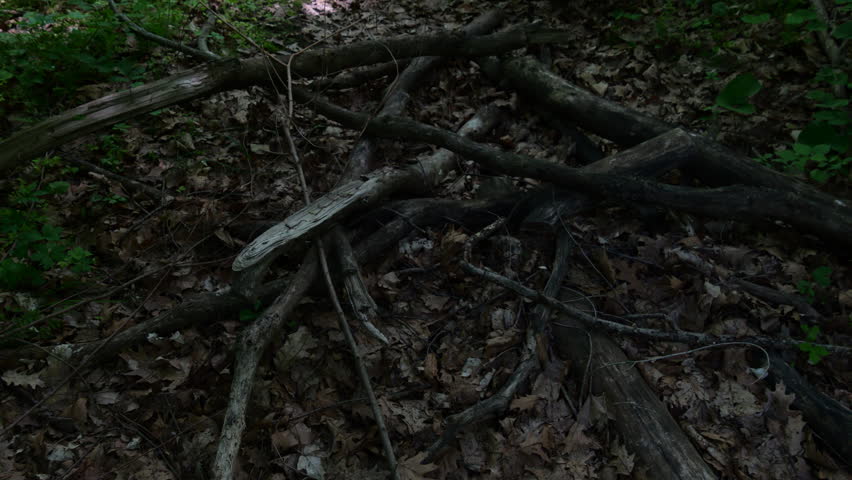 Hiking Trails at Weston Bend Missouri State Park in Platte County