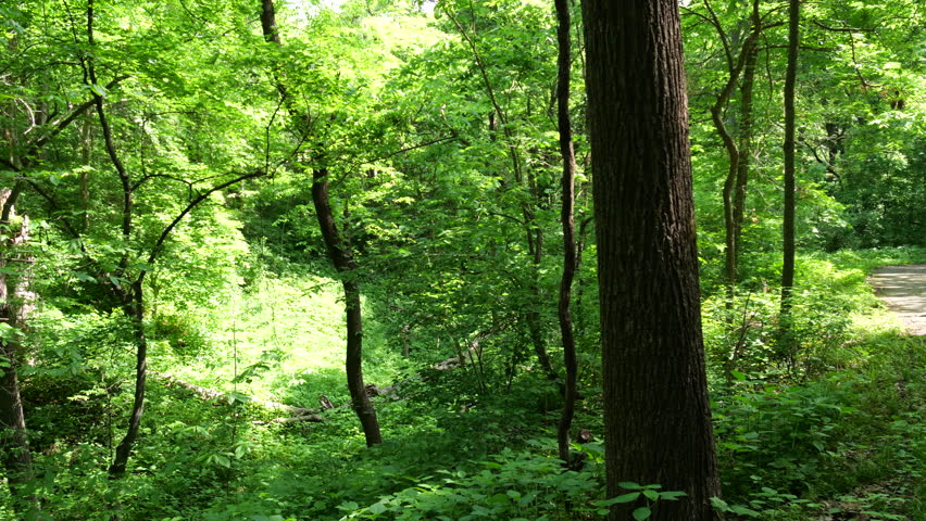 Hiking Trails at Weston Bend Missouri State Park in Platte County