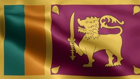 Sri Lanka Flag video waving in wind. Sri Lanka Flag Wave Loop waving in wind. Realistic Sri Lanka Flag background. Sri Lanka Flag Looping Closeup 1080p Full HD 1920X1080
