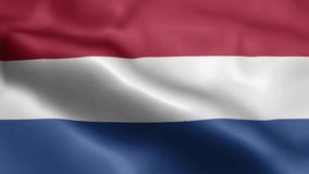 Netherlands Flag video waving in wind. Netherlands Flag Wave Loop waving in wind. Realistic Netherlands Flag background. Netherlands Flag Looping Closeup 1080p Full HD 19